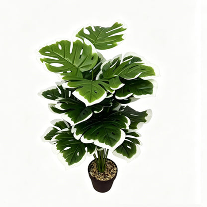 30" Faux White Edge Monstera Deliciosa Plant