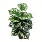 30" Faux Dark Green White Splash Marble Pothos Plant
