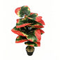 30" Faux Red Green Yellow Tri-Color Caladium