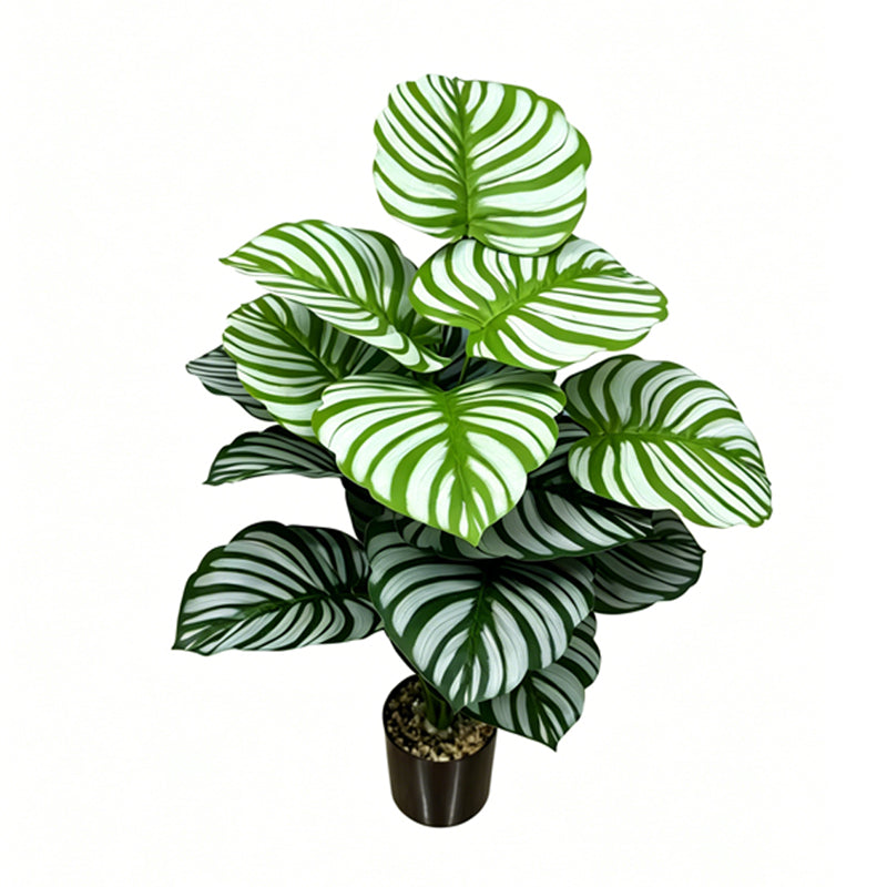 30" Faux Green White Parallel Striped Calathea
