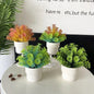 Mini Faux Frost Pine(Coral Foliage)