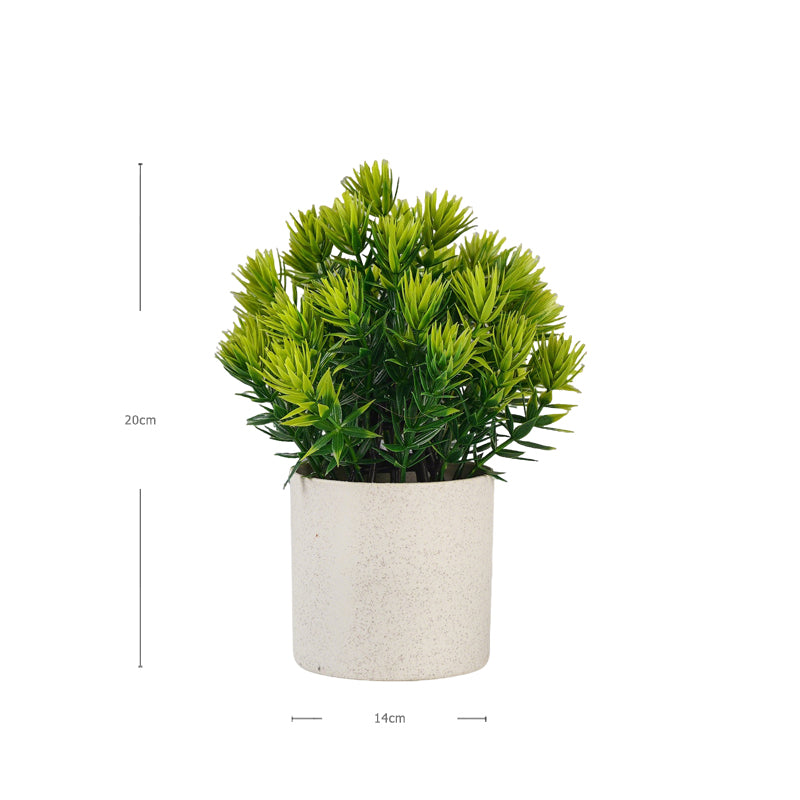 Mini Faux Podocarpus Pot