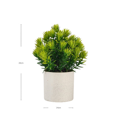 Mini Faux Podocarpus Pot