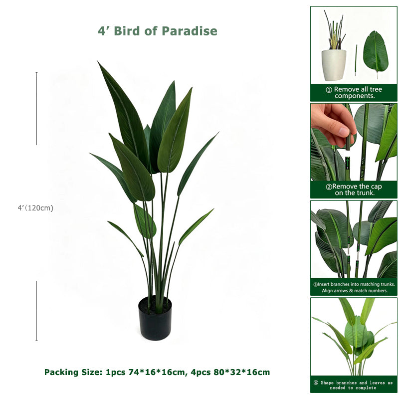 4' Bird of Paradise