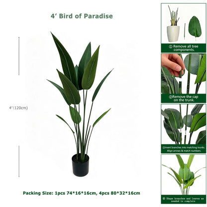 4' Bird of Paradise