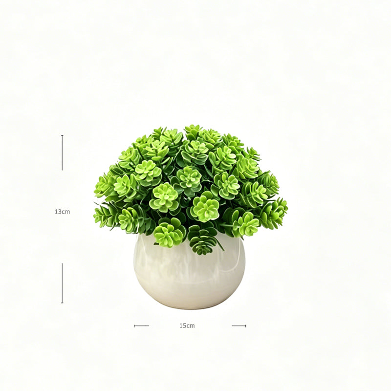 Mini Faux Coin Leaf Sedum