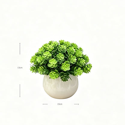 Mini Faux Coin Leaf Sedum
