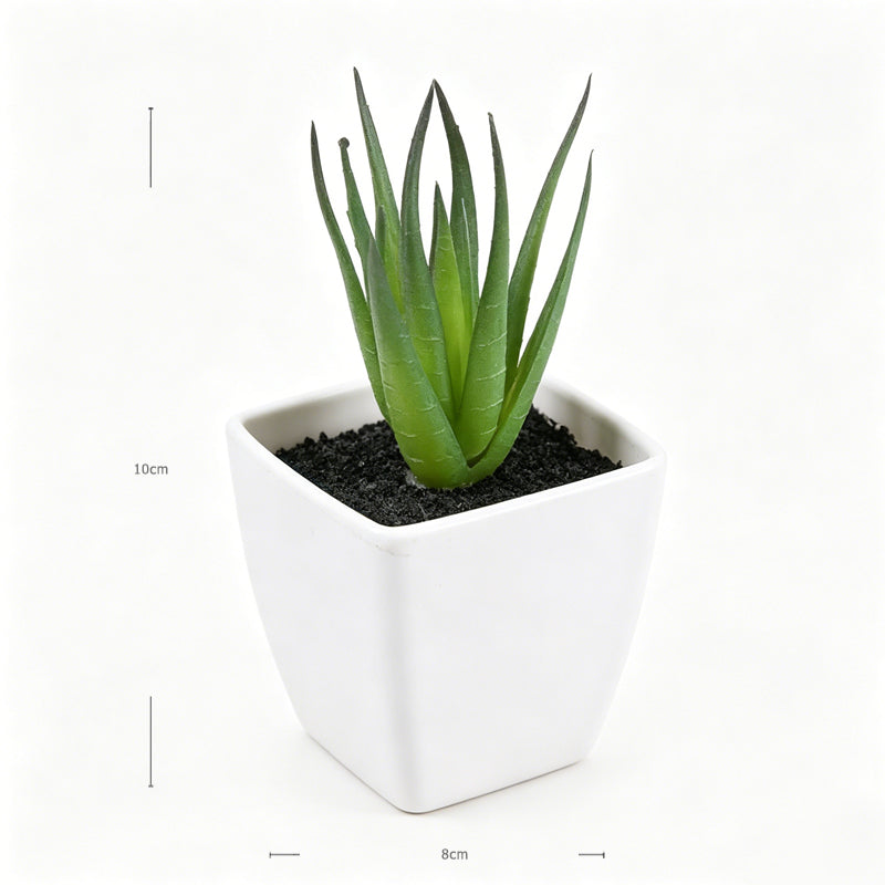 Mini Faux Thin Leaf Aloe Succulents