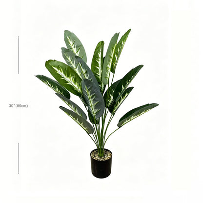 30" Faux Traveler Palm, 18 Pure Variegated Leaves