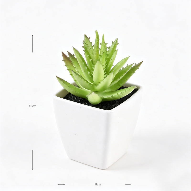 Mini Faux Sawtooth Aloe Succulents