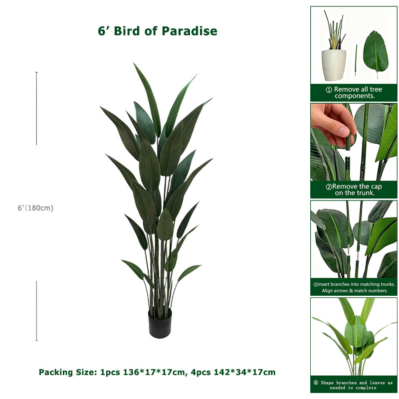 6' Bird of Paradise