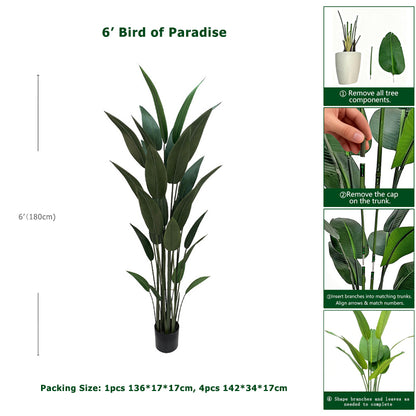 6' Bird of Paradise
