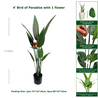 4' Bird of Paradise With 1 Flower