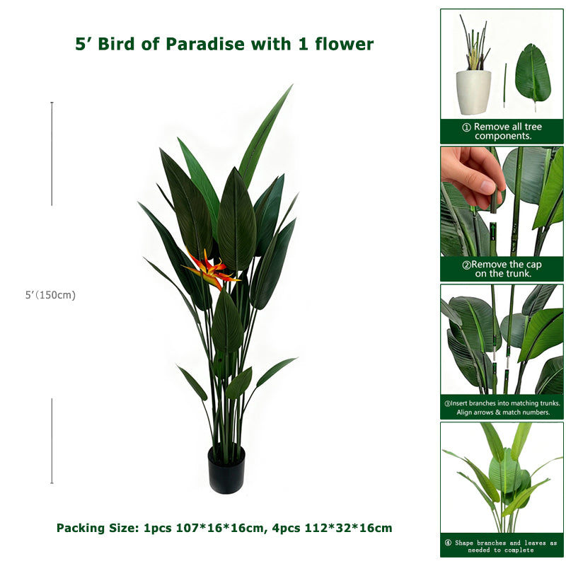 5' Bird of Paradise With 1 Flower