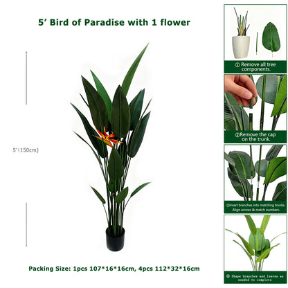 5' Bird of Paradise With 1 Flower