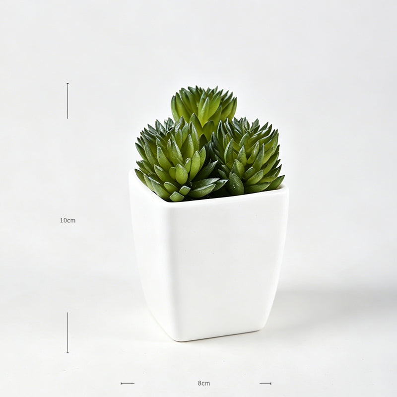 Mini Faux Double Petal Succulents