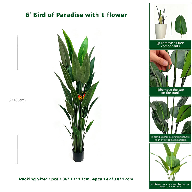 6' Bird of Paradise With 1 Flower