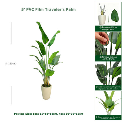 5' PVC Film Traveler's Palm