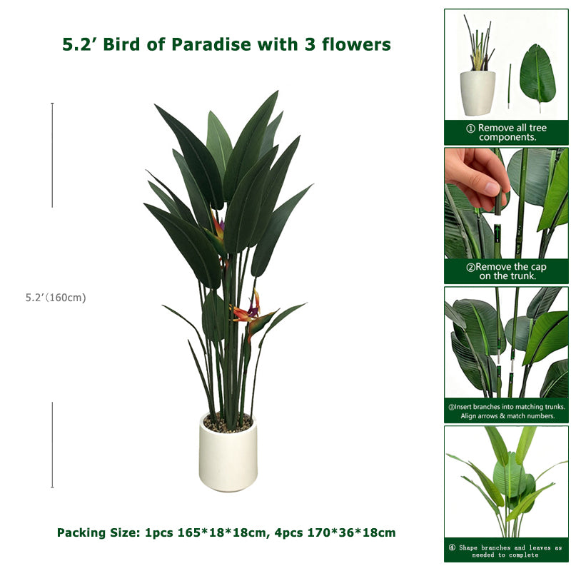 5.2' Bird of Paradise With 3 Flowers