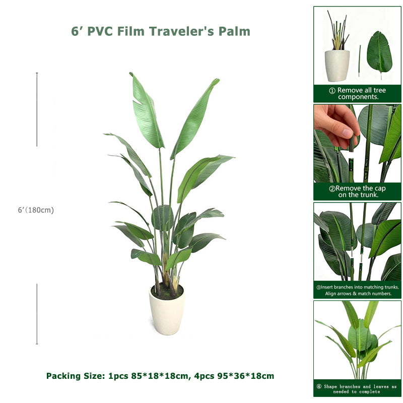 6' PVC Film Traveler's Palm