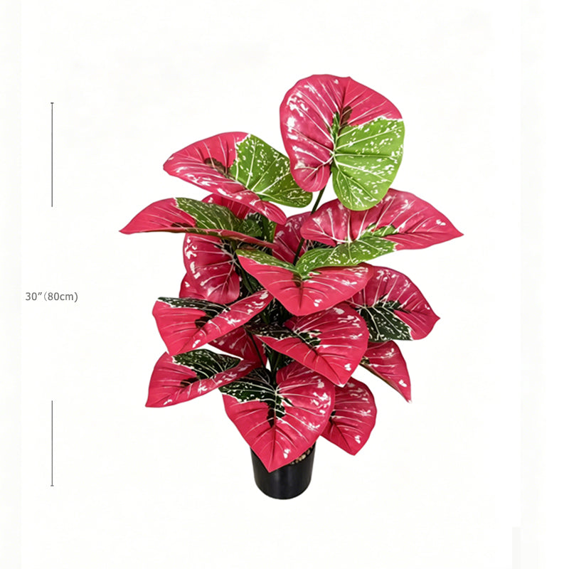 30" Faux Red Variegated Caladium