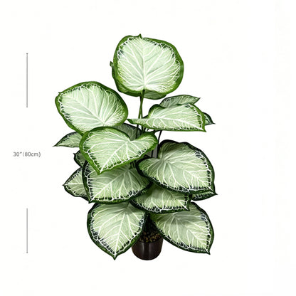30" Faux Light White Center Green Border Caladium