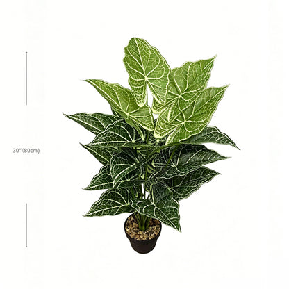 30" Faux Two-Tone Green White Net Vein Caladium