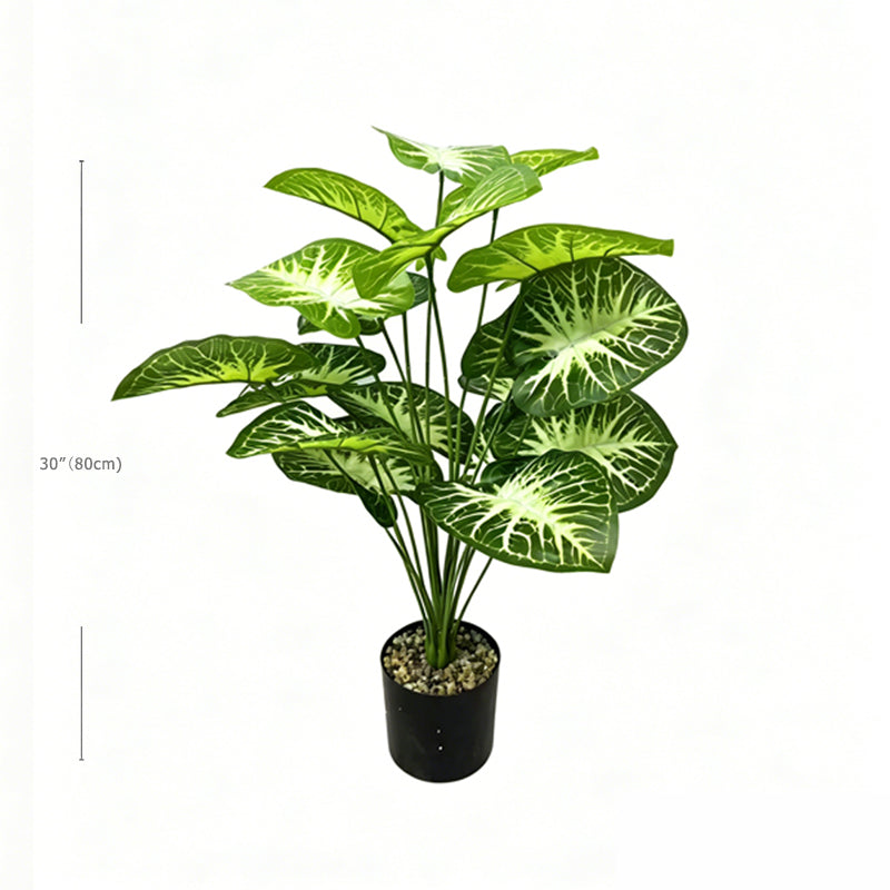 30" Faux White Vein Green Caladium Plant