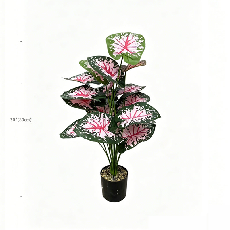 30" Faux Red Vein White Speckled Caladium