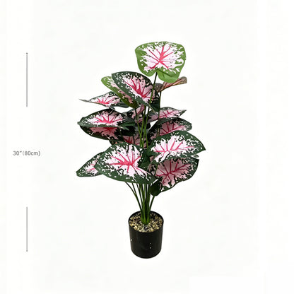 30" Faux Red Vein White Speckled Caladium