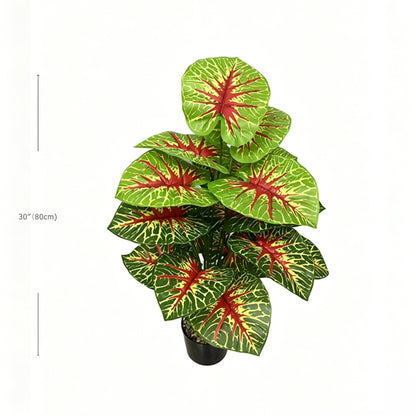30" Faux Red Vein Green White Reticulated Caladium