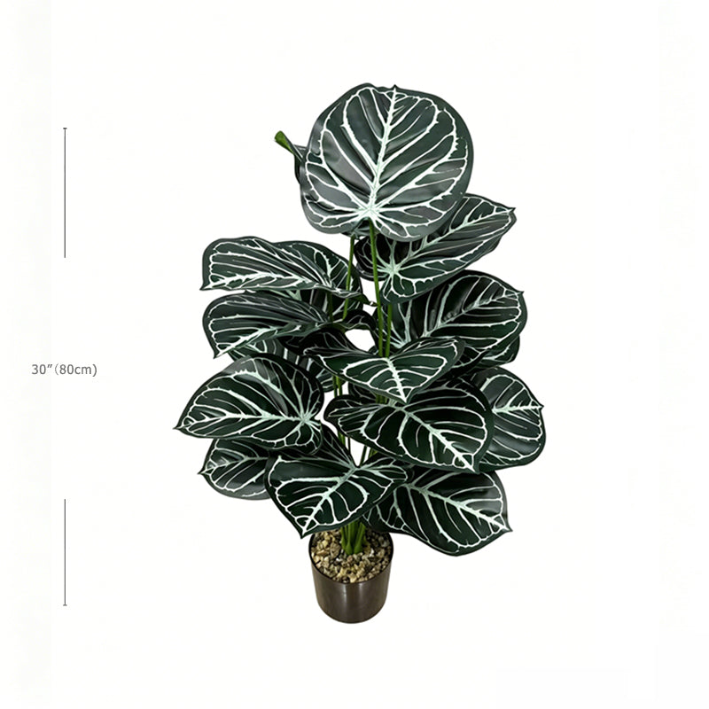 30" Faux Dark Green White Vein Caladium