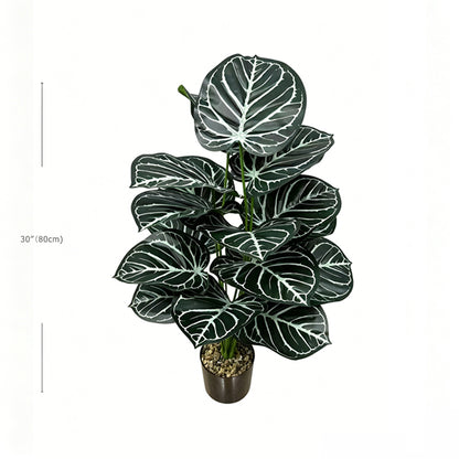 30" Faux Dark Green White Vein Caladium