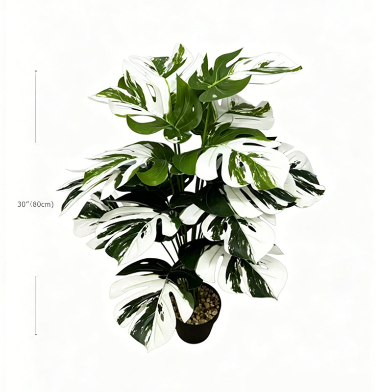 30" Faux White Green Variegated Monstera