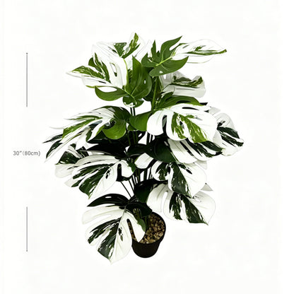 30" Faux White Green Variegated Monstera