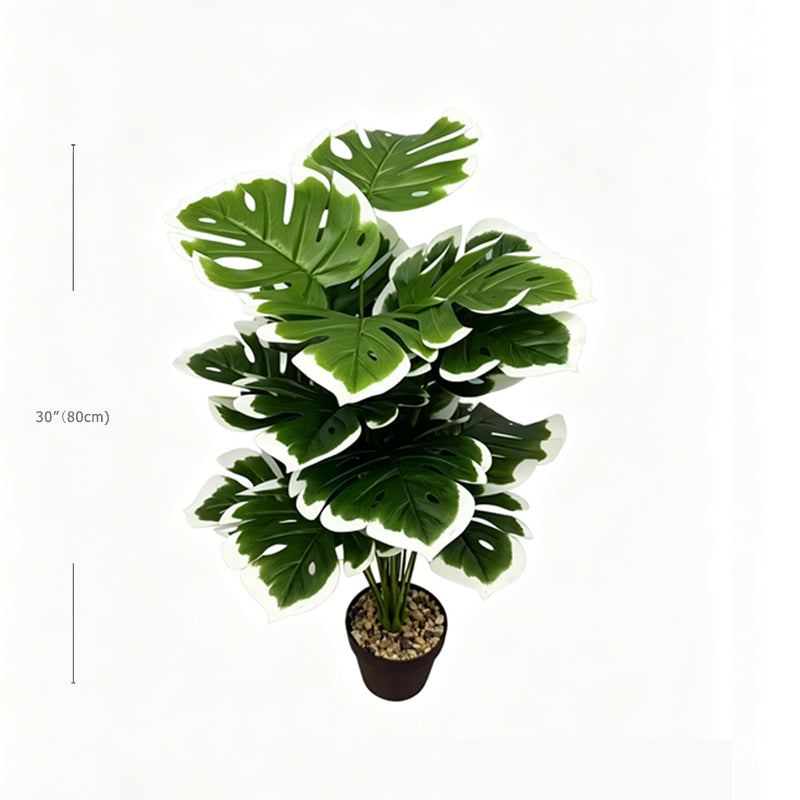 30" Faux White Edge Monstera Deliciosa Plant