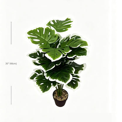 30" Faux White Edge Monstera Deliciosa Plant