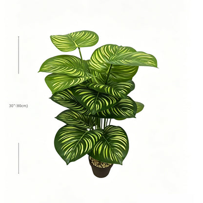 30" Faux Light Green Striped Calathea Orbifolia