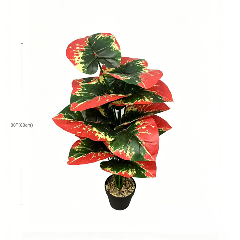 30" Faux Red Green Yellow Tri-Color Caladium