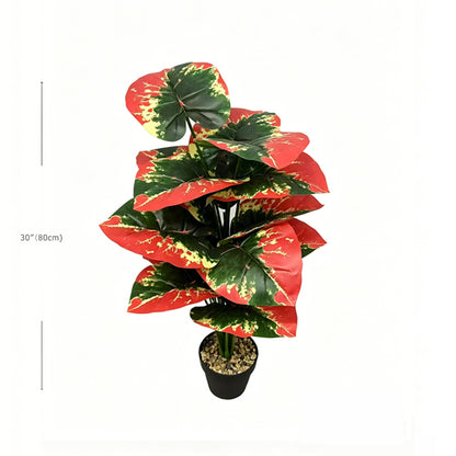 30" Faux Red Green Yellow Tri-Color Caladium