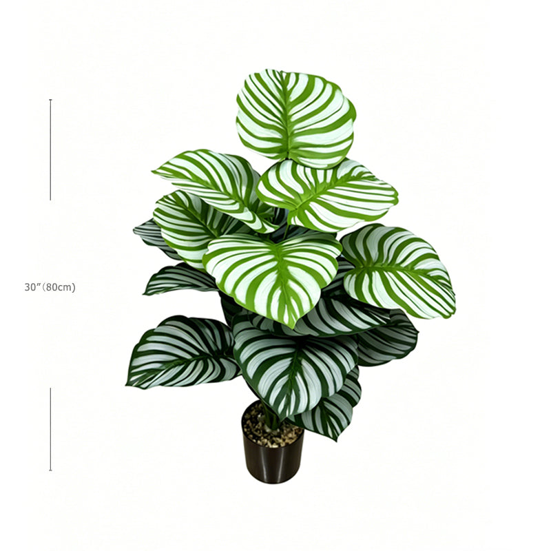 30" Faux Green White Parallel Striped Calathea