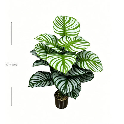 30" Faux Green White Parallel Striped Calathea