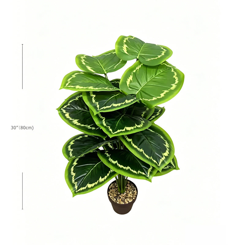 30" Faux Light Lime Fringe Edge Calathea