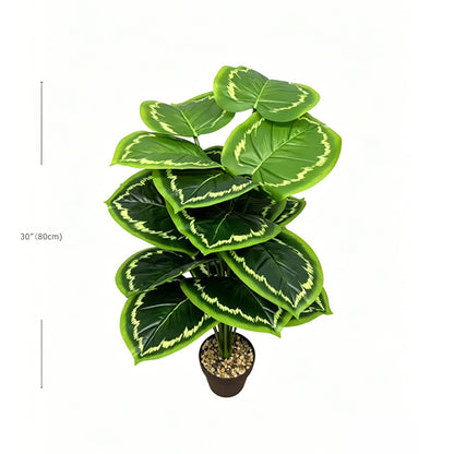 30" Faux Light Lime Fringe Edge Calathea