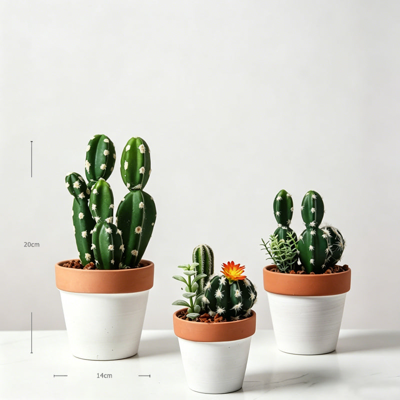 Mini Faux Cactus Decor