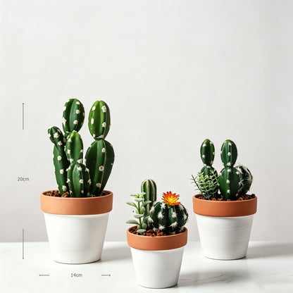 Mini Faux Cactus Decor