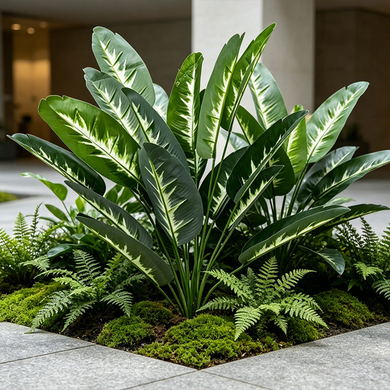 30" Faux Traveler Palm, 18 Pure Variegated Leaves