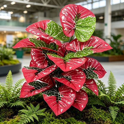 30" Faux Red Variegated Caladium