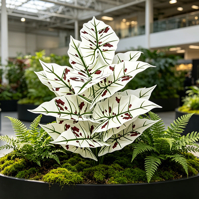 30" Faux Light Green Vein Red Speckled Caladium