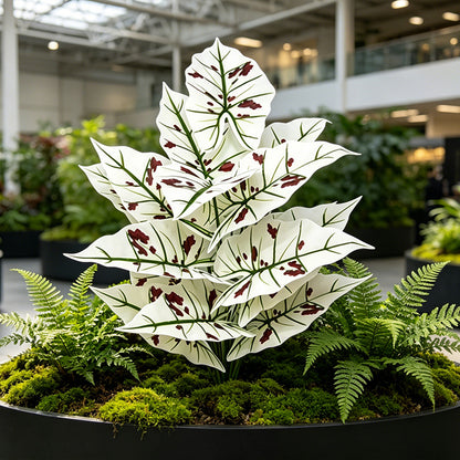 30" Faux Light Green Vein Red Speckled Caladium